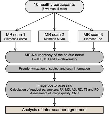 Quantitative MR-Neurography at 3.0T: Inter-Scanner Reproducibility